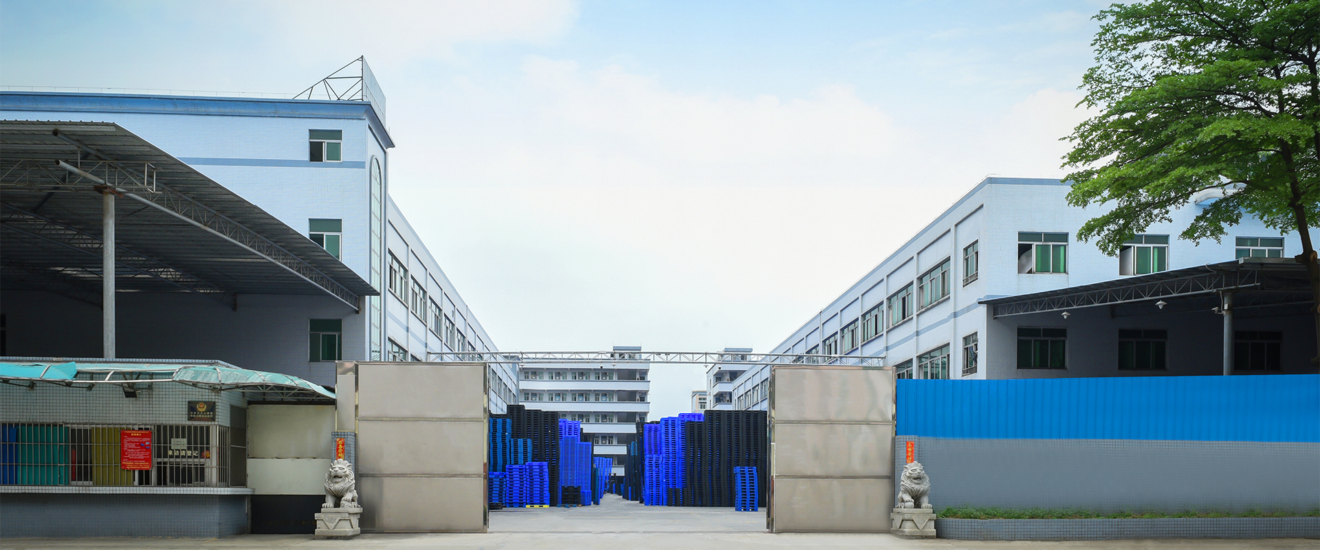 1747631435162850.jpg 1.jpg